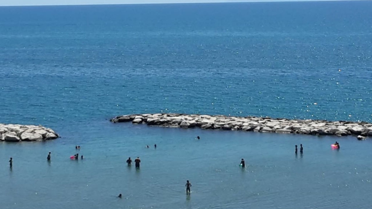 Photo of Others in Gianola