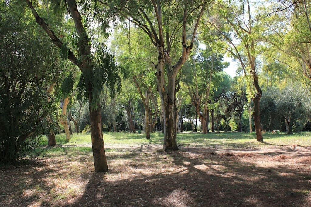Photo of Outdoor in Gianola