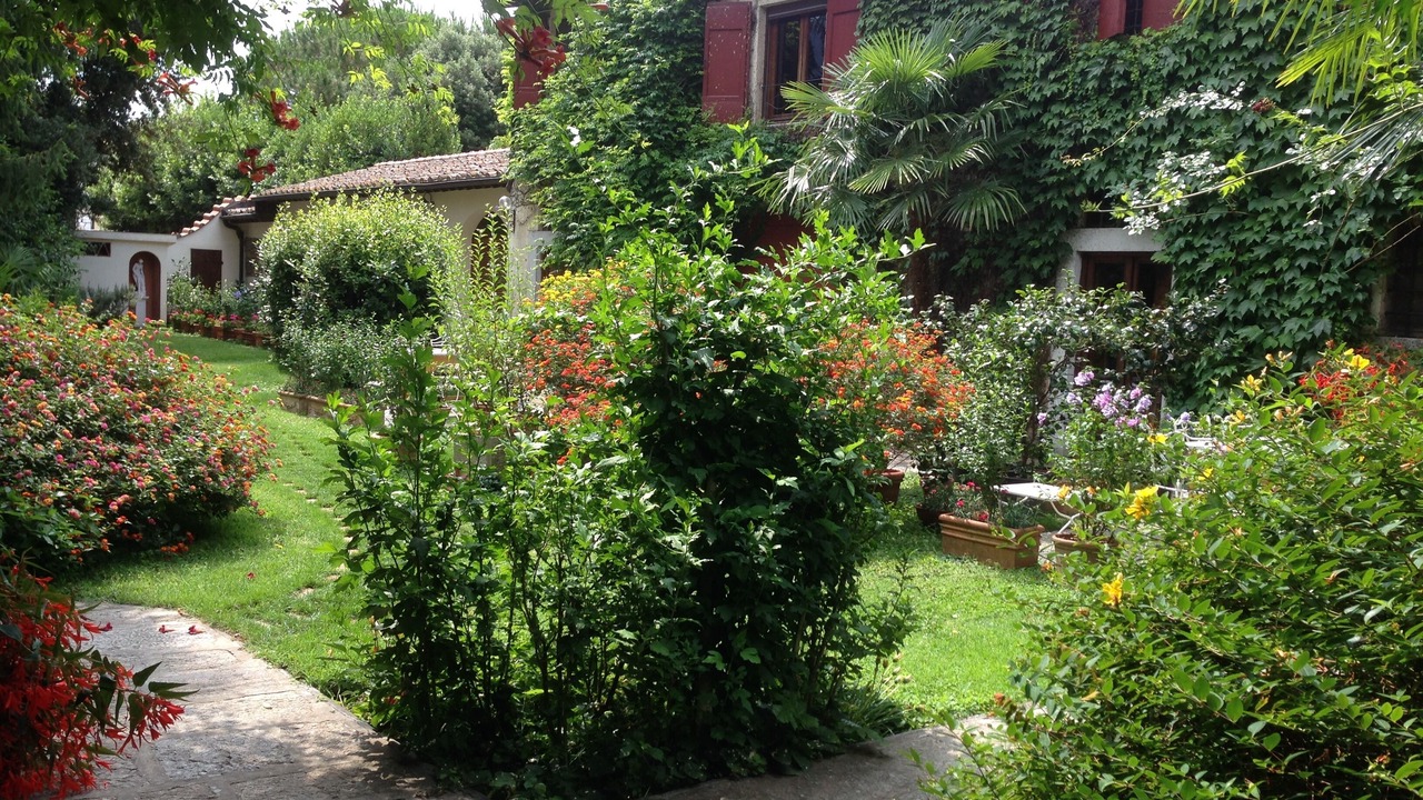 Photo of Outdoor in Querceta