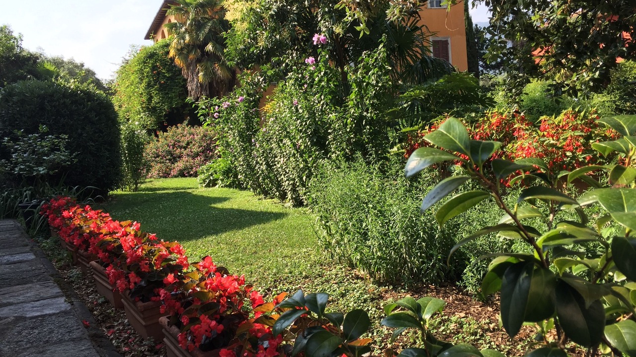 Photo of Outdoor in Querceta
