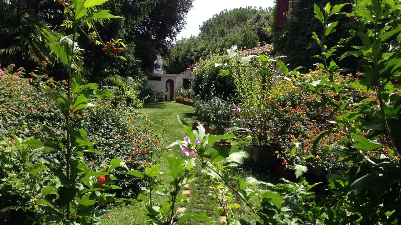 Photo of Outdoor in Querceta