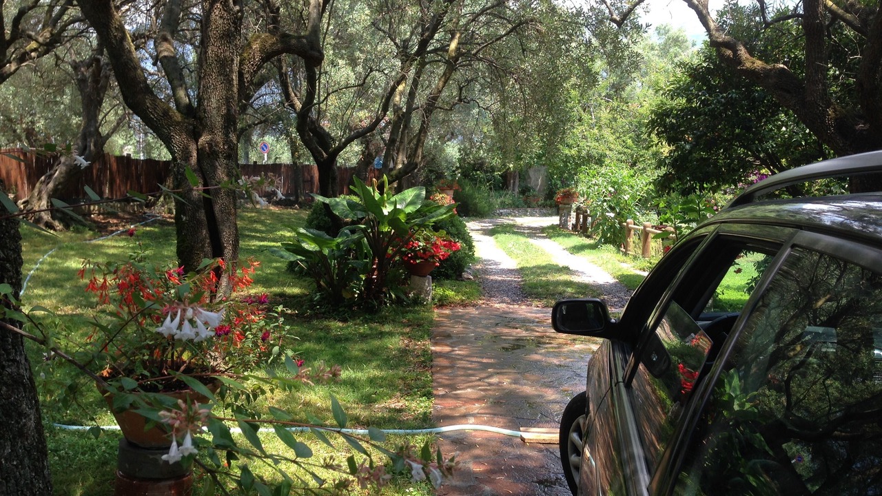 Photo of Outdoor in Querceta