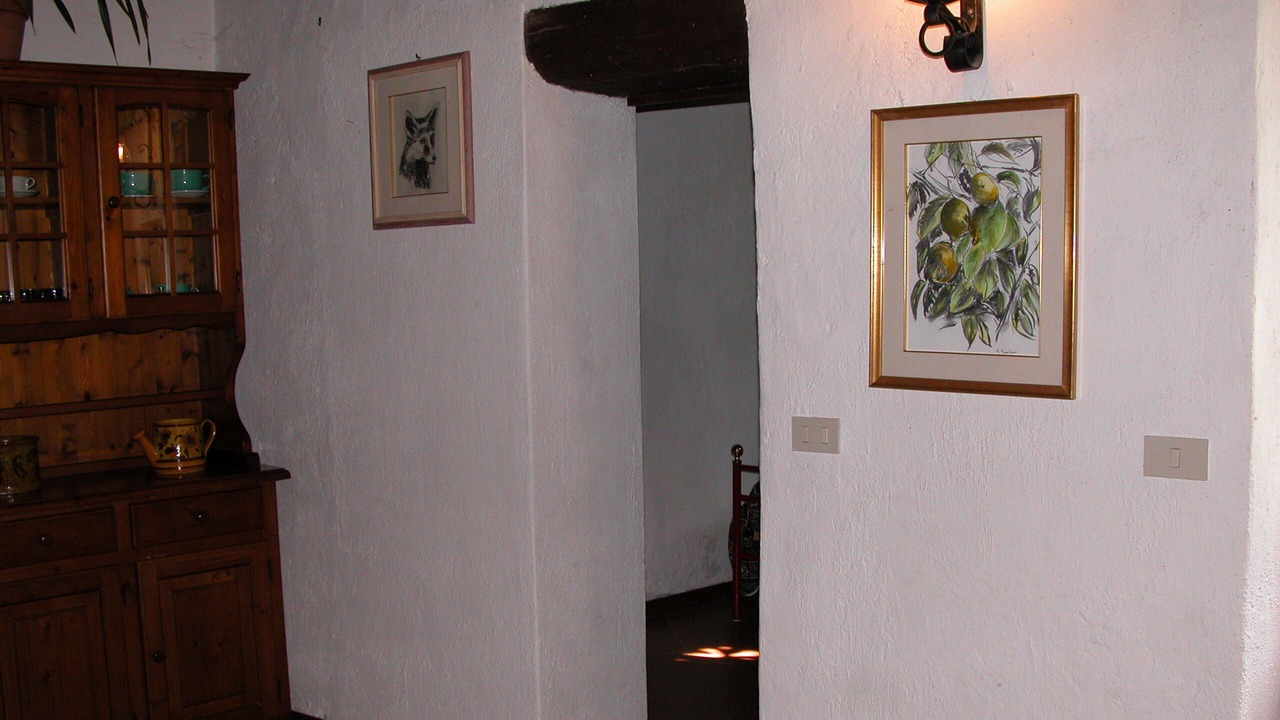 Photo of Others in Querceta