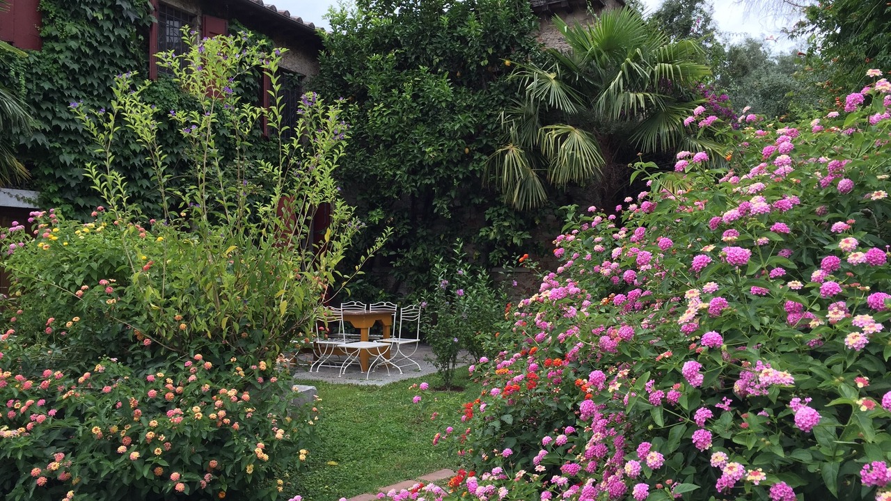 Photo of Outdoor in Querceta