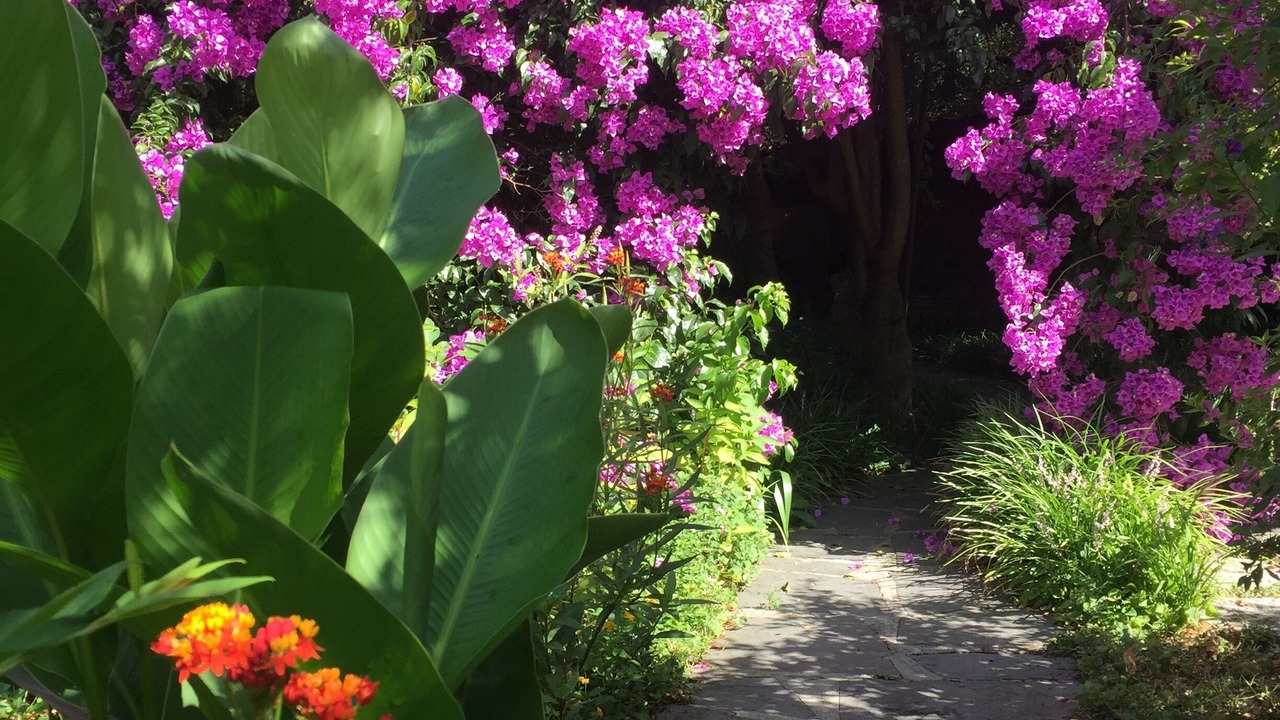 Photo of Outdoor in Querceta