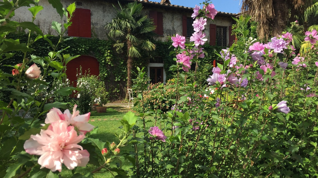 Photo of Outdoor in Querceta