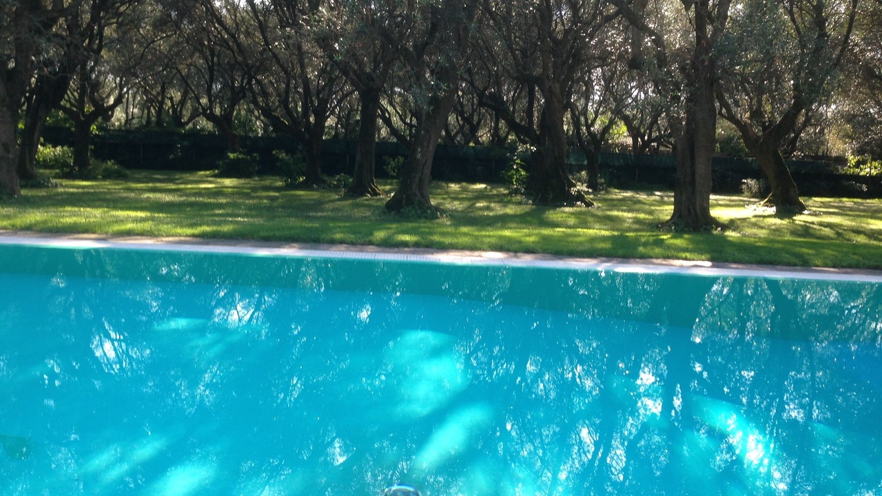 Photo of Outdoor in Querceta