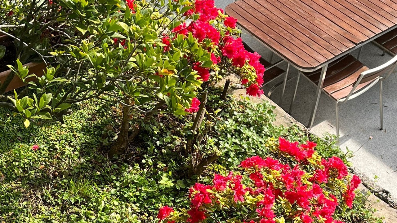 Photo of Outdoor in Rapallo