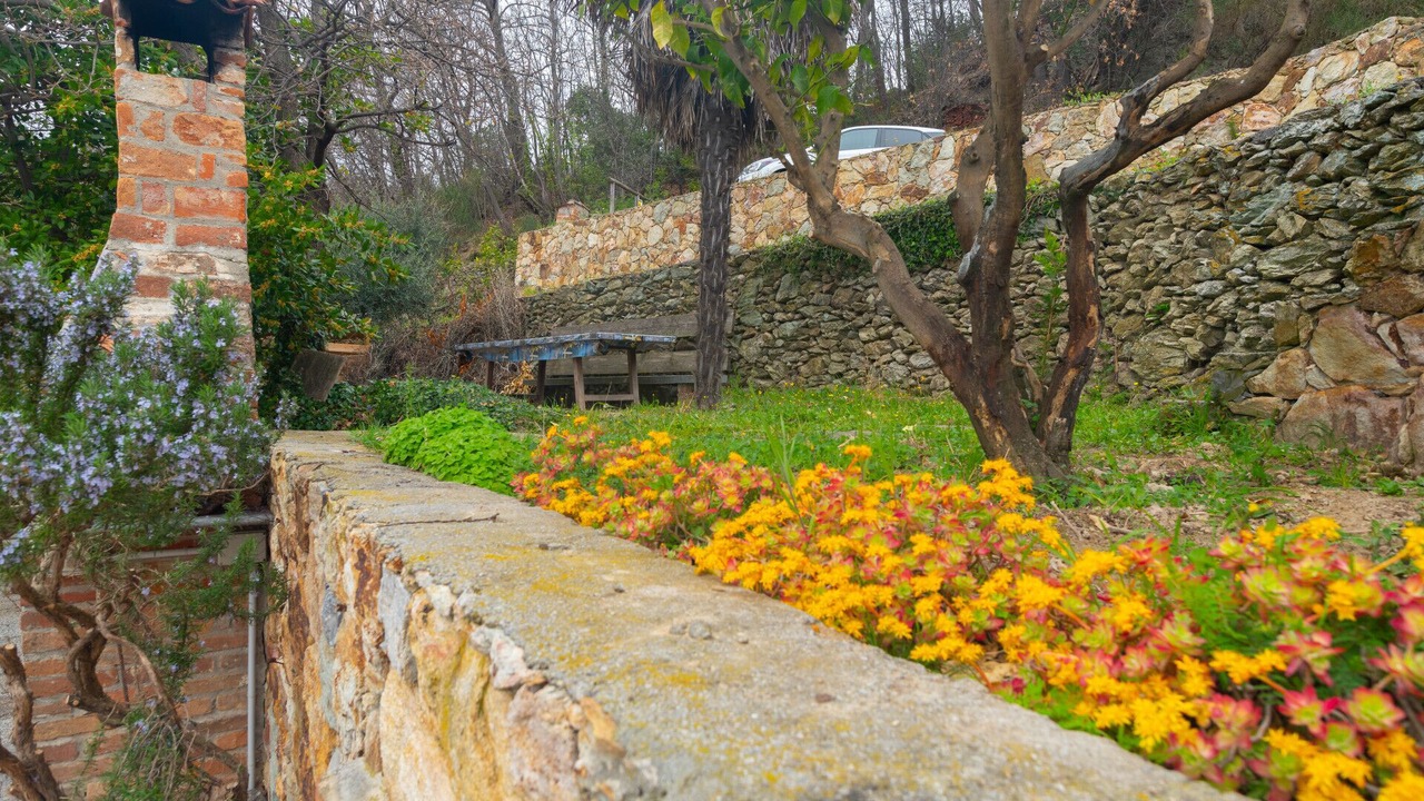 Photo of Outdoor in Gorra