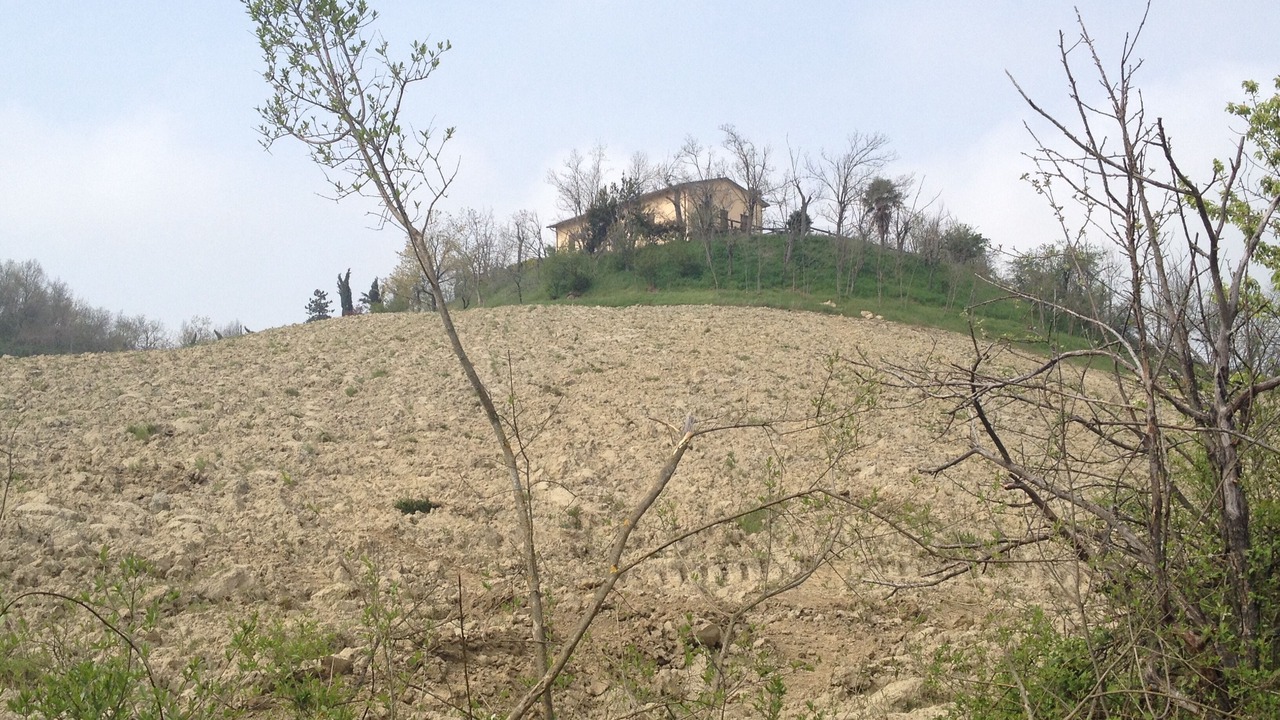 Photo of Outdoor in Pianoro