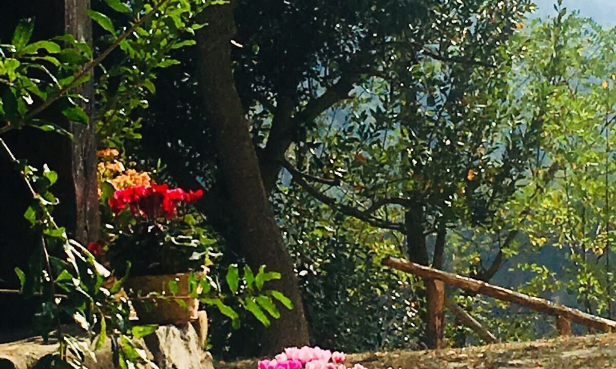 Photo of Outdoor in Pianoro