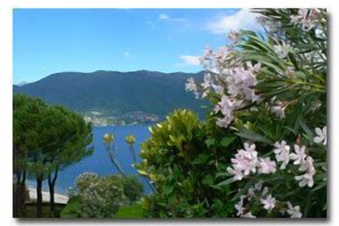 Photo of Others in Porto Valtravaglia