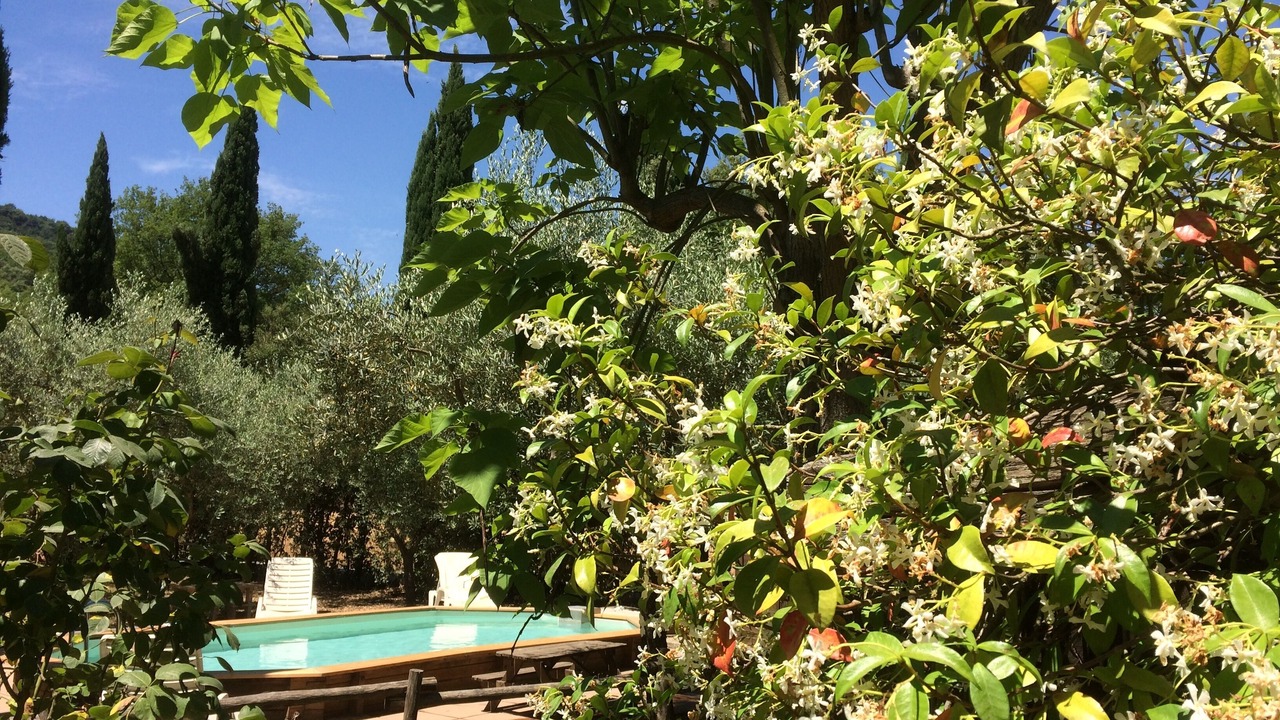 Photo of Outdoor in Chia