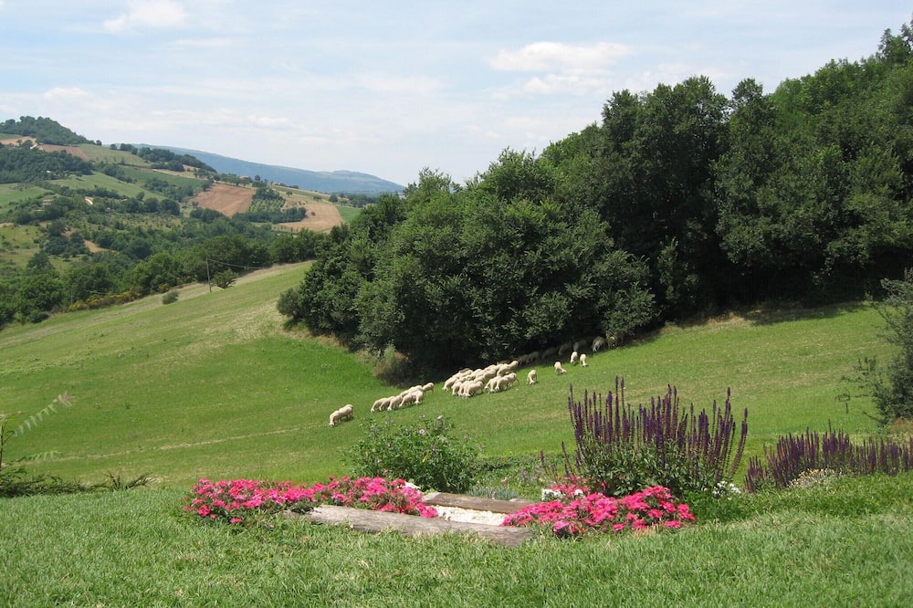 Photo of Others in Santa Maria d'Alto Cielo