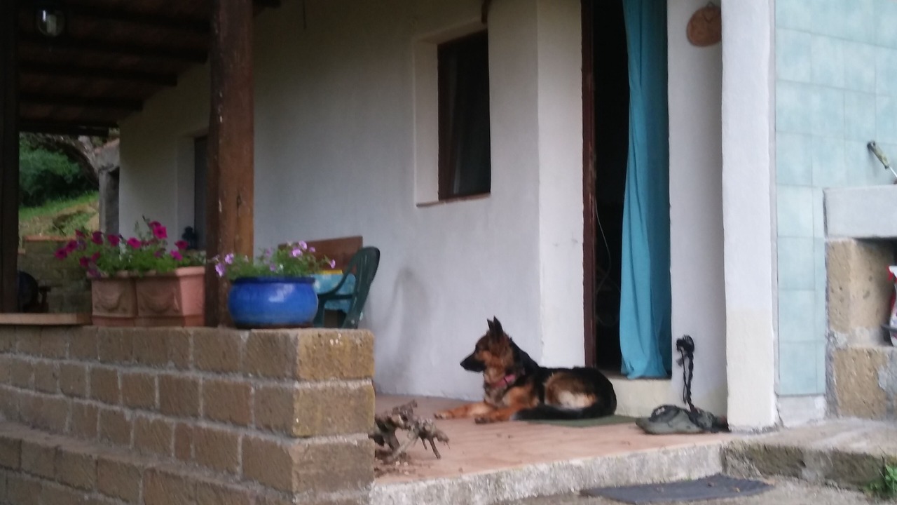 Photo of Outdoor in Gradoli
