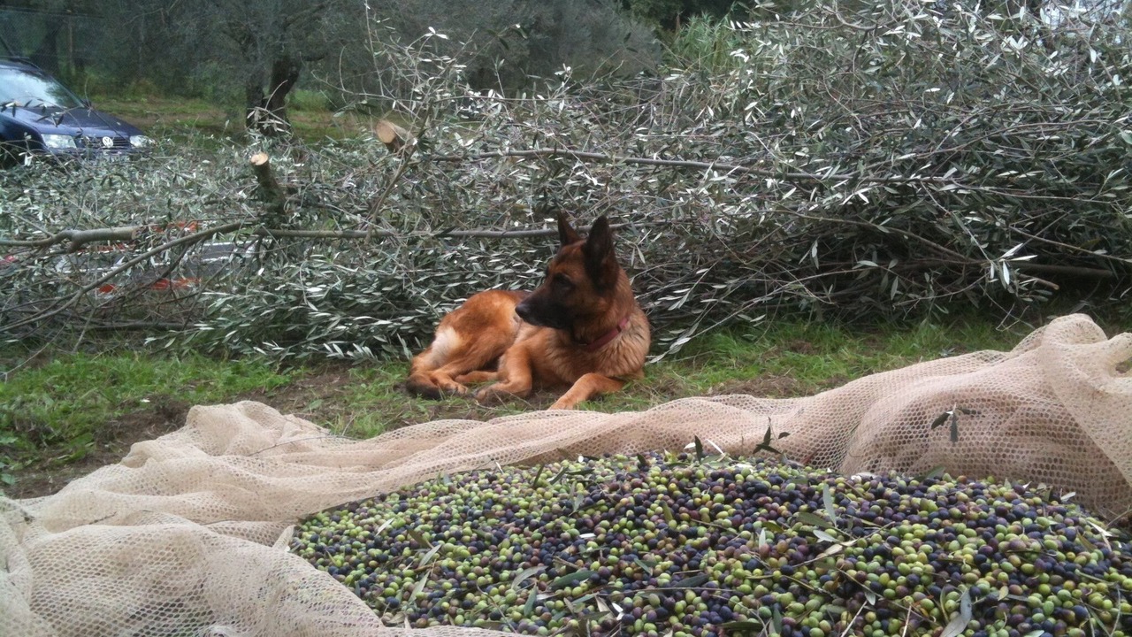 Photo of Outdoor in Gradoli