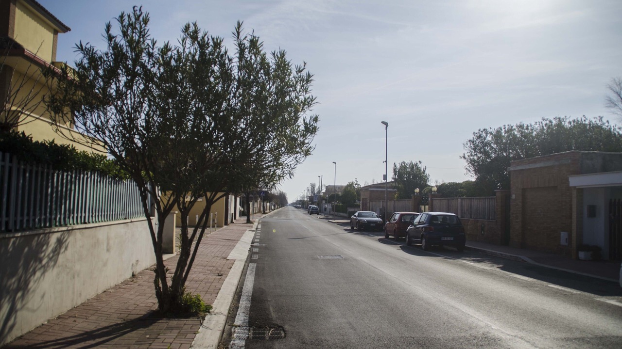 Photo of Outdoor in Focene