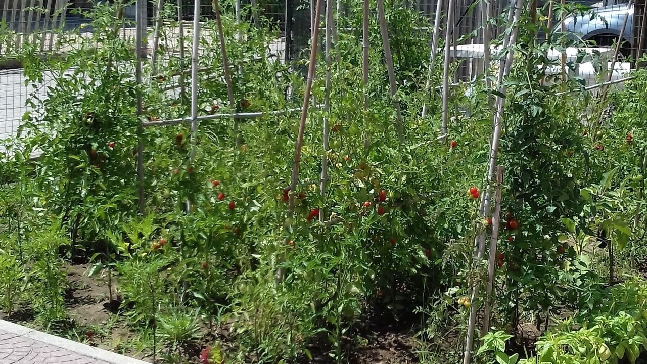 Photo of Outdoor in Focene