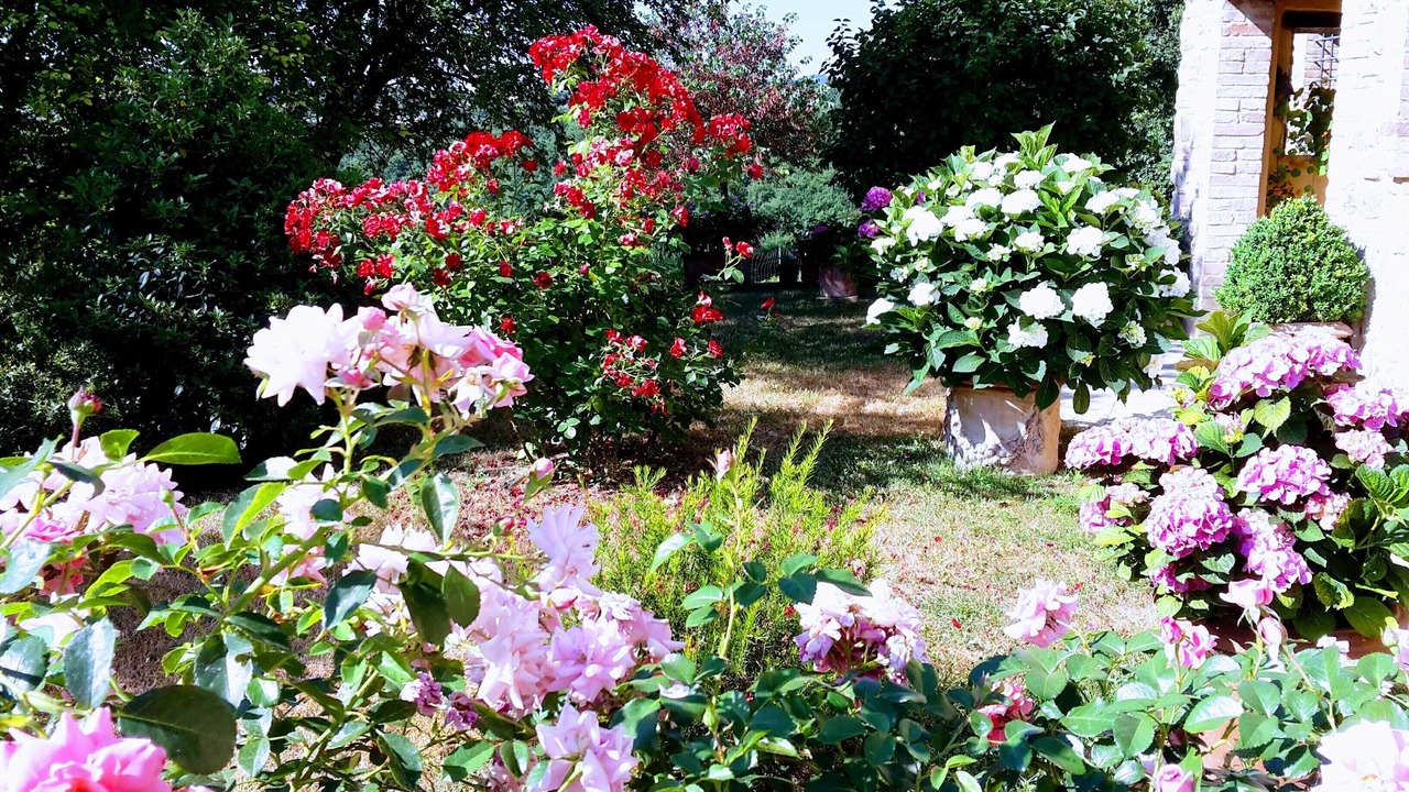 Photo of Outdoor in Marsciano
