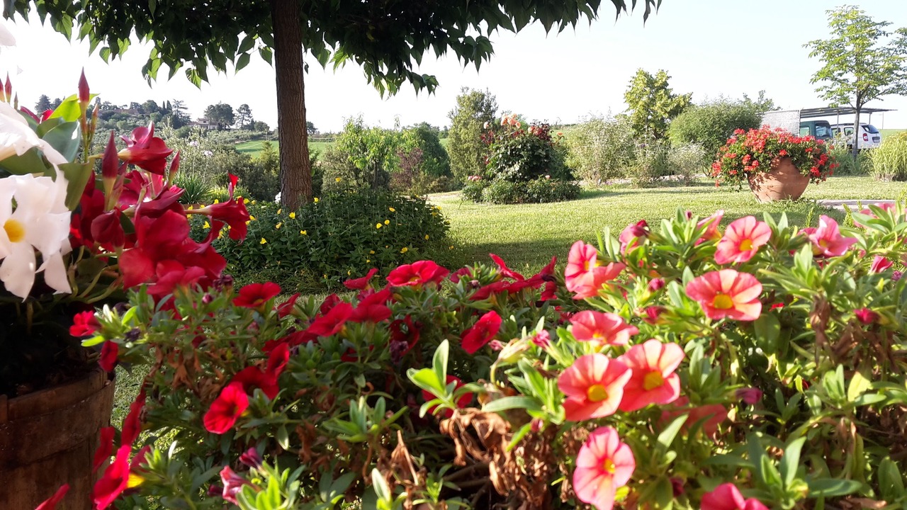 Photo of Outdoor in Marsciano