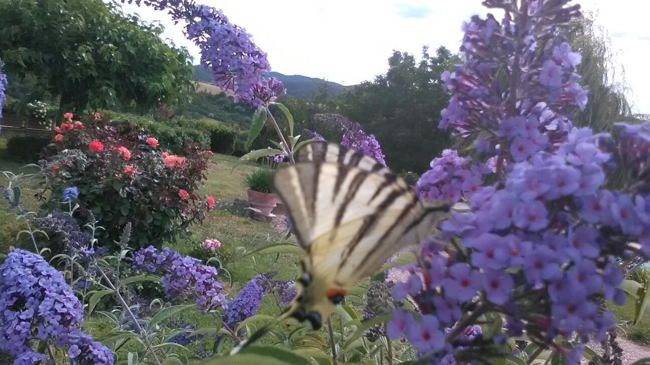 Photo of Outdoor in Marsciano