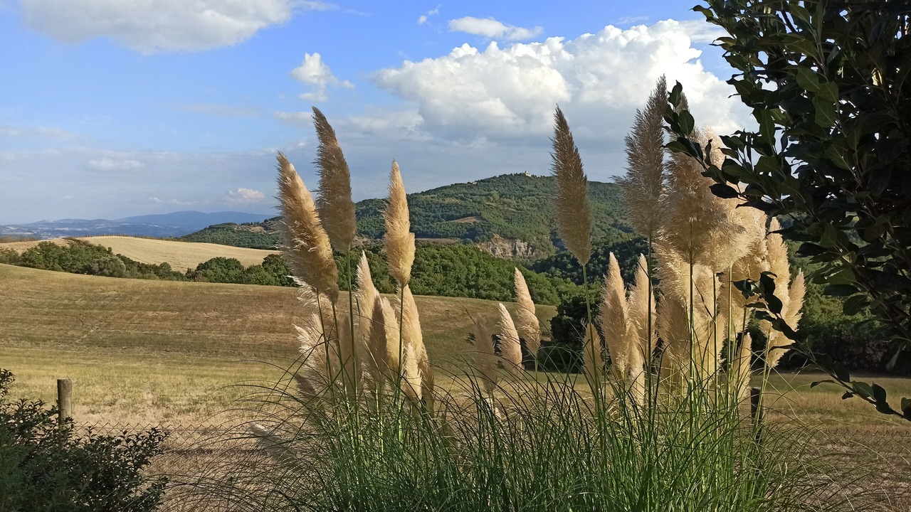Photo of Outdoor in Marsciano