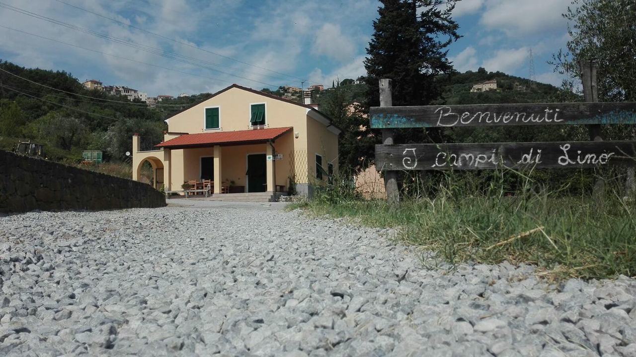 Photo of Outdoor in Gorra