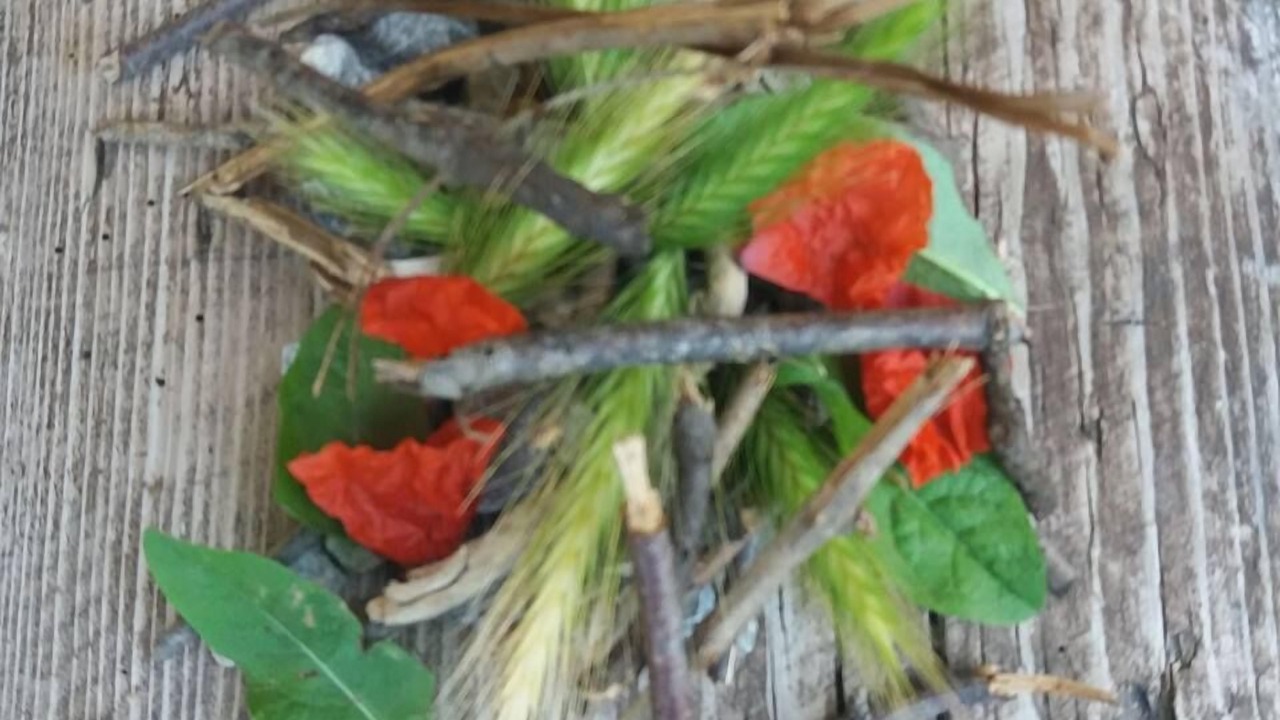 Photo of Outdoor in Gorra