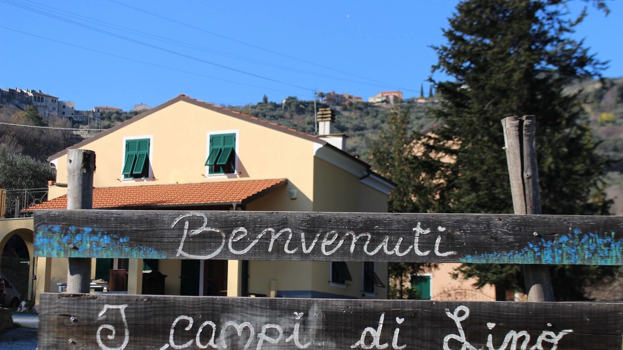 Photo of Buildings in Gorra