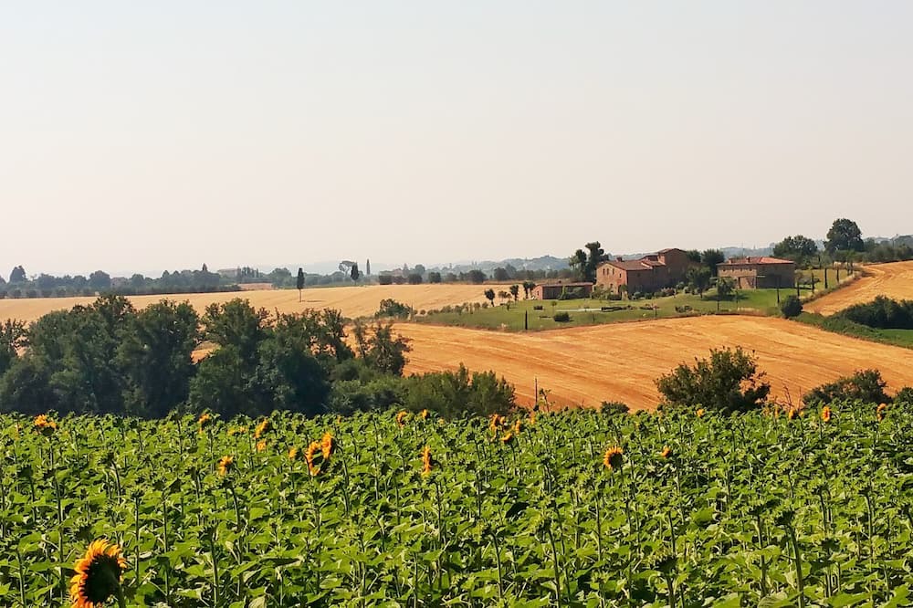 Photo of Others in Marciano della Chiana