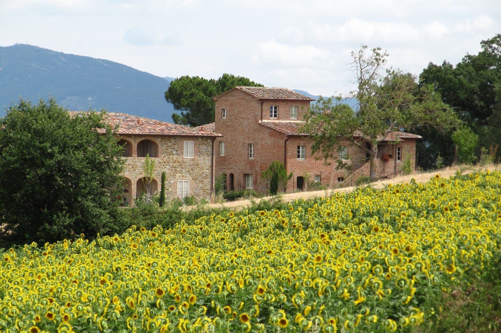 Photo of Others in Marciano della Chiana