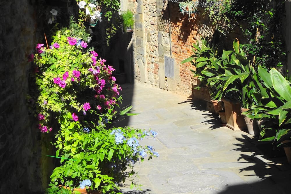 Photo of Others in Marciano della Chiana