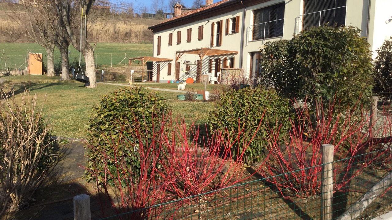 Photo of Outdoor in Alessandria