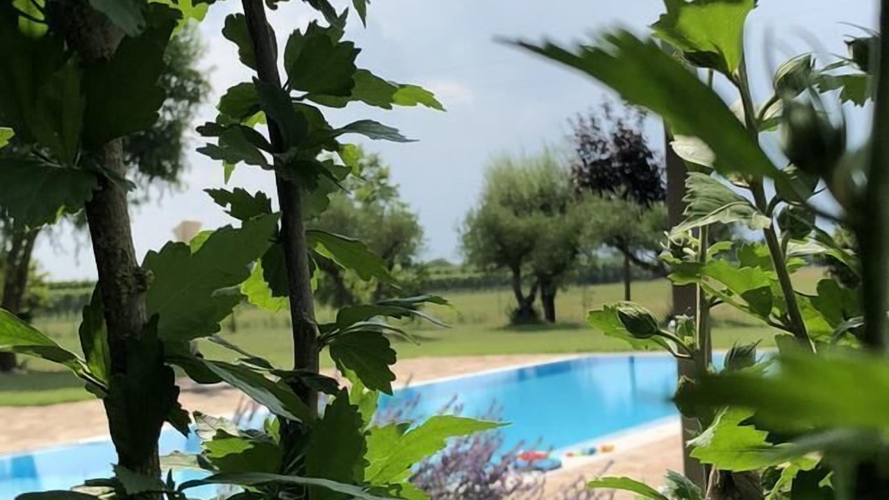 Photo of Outdoor in Santerno