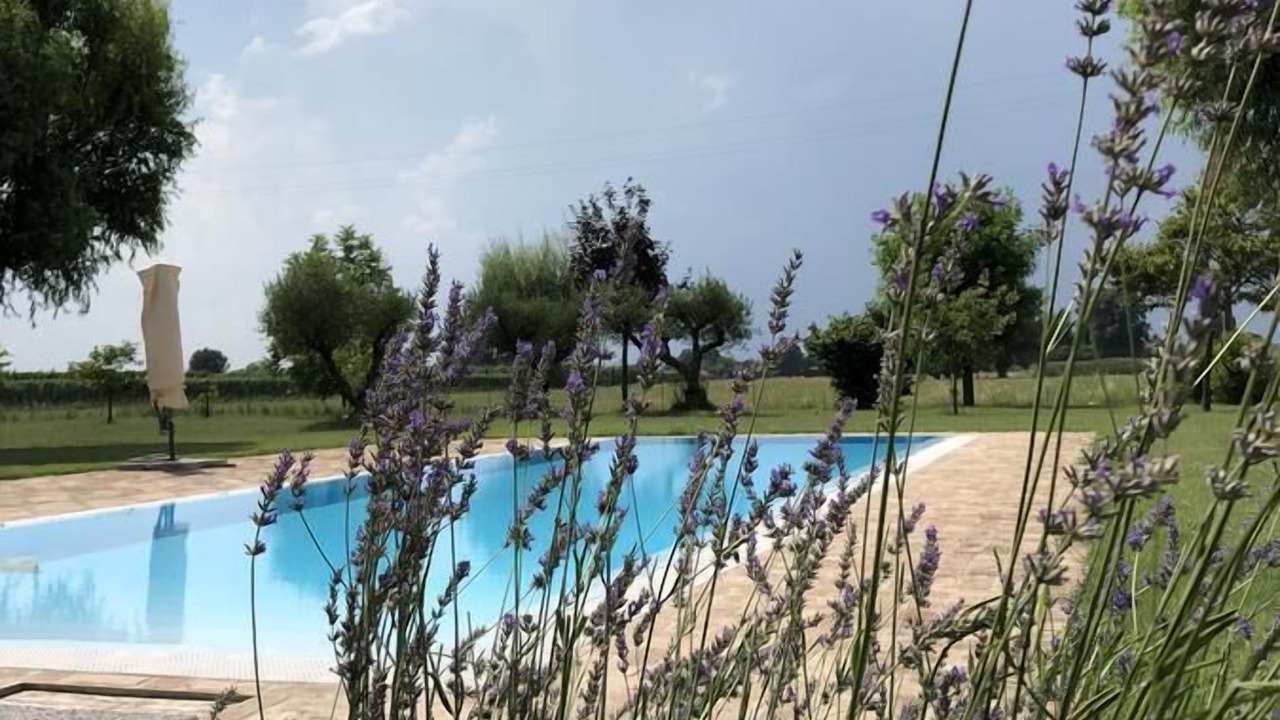 Photo of Outdoor in Santerno