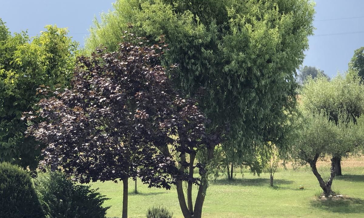 Photo of Outdoor in Santerno