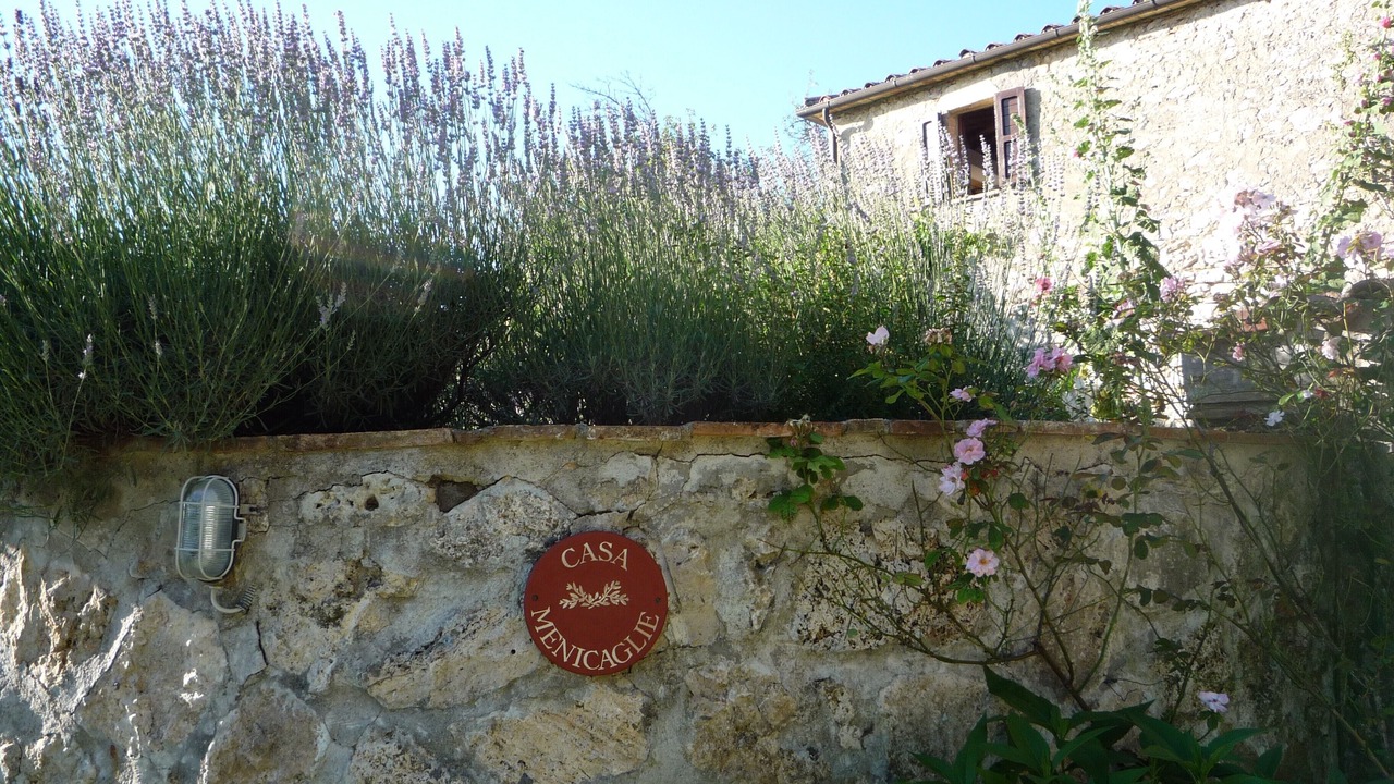 Photo of Outdoor in Baschi