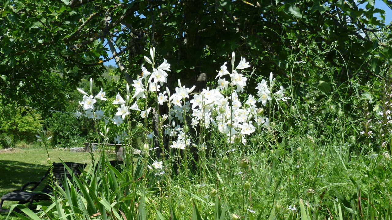 Photo of Outdoor in Baschi