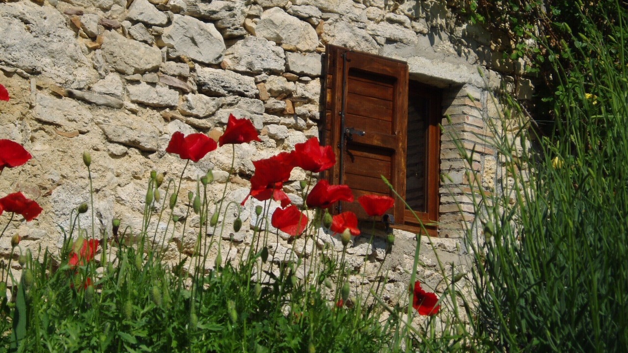 Photo of Outdoor in Baschi