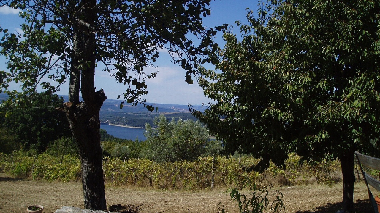 Photo of Outdoor in Baschi