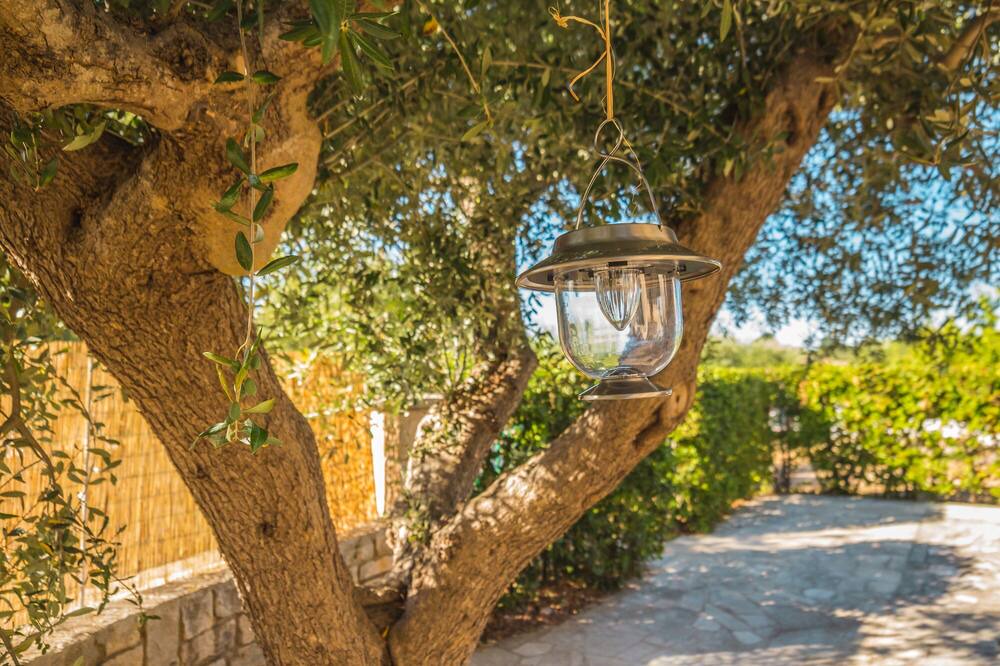 Photo of Others in Martina Franca