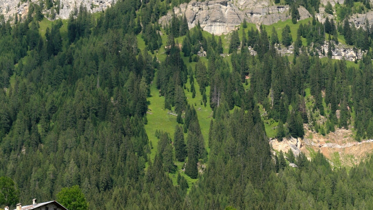 Photo of Outdoor in Santa Fosca