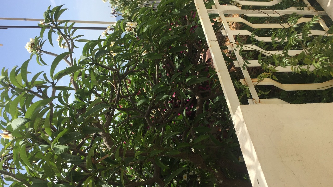 Photo of Patio Balcony in Nizza di Sicilia