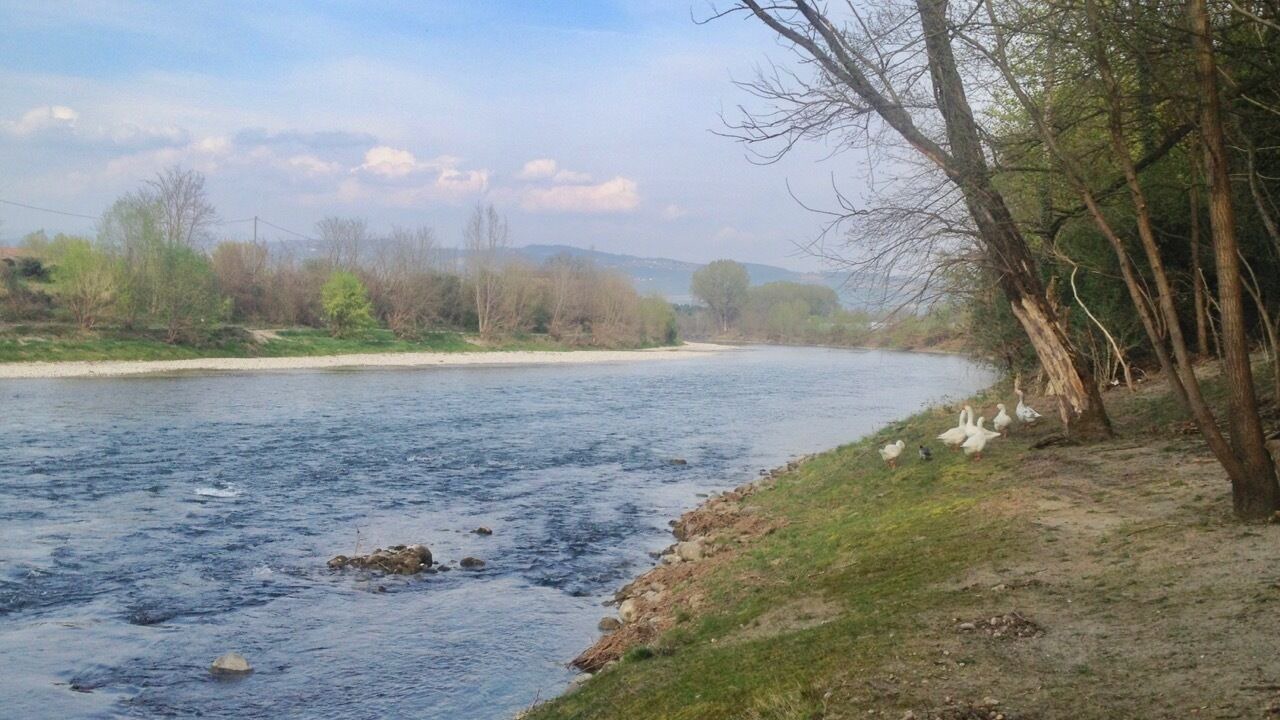 Photo of Others in Bussolengo