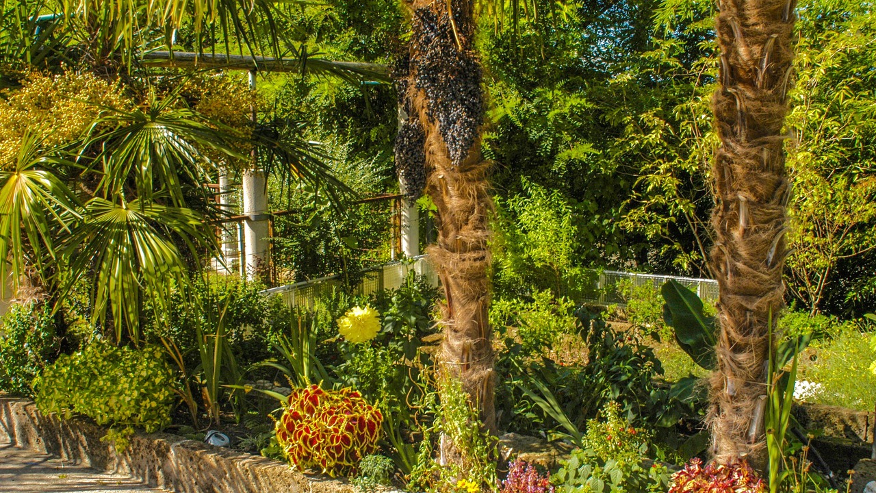 Photo of Outdoor in Bussolengo