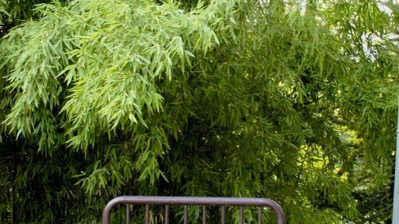 Photo of Outdoor in Bussolengo