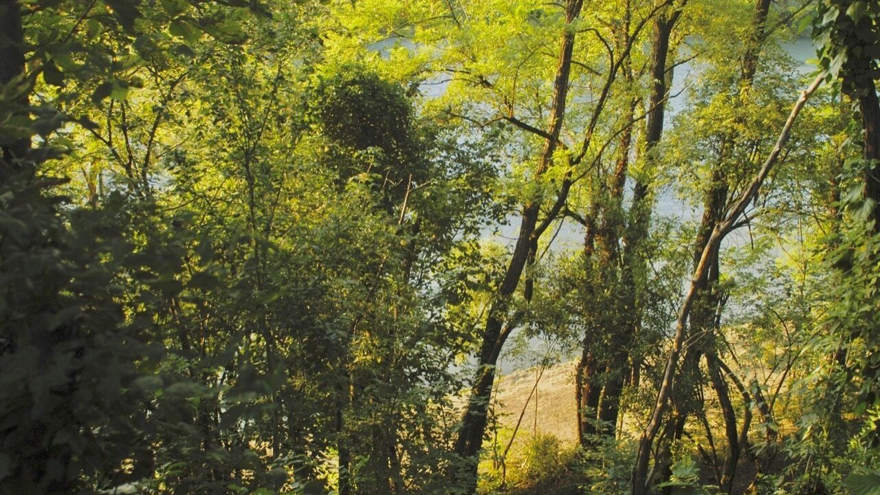 Photo of Outdoor in Bussolengo