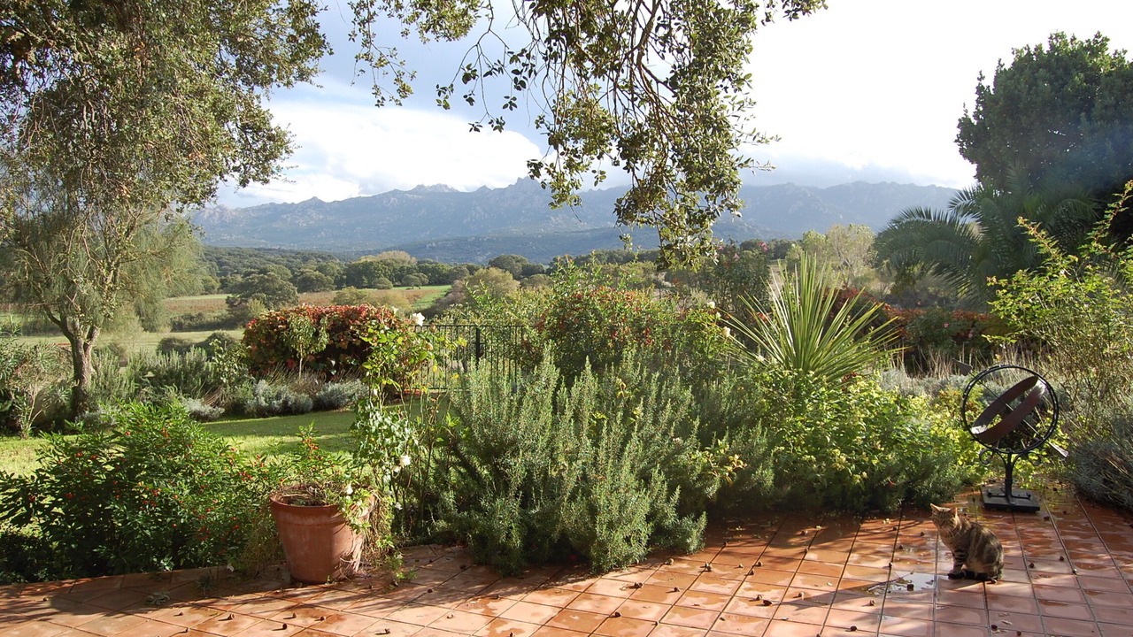 Photo of Outdoor in Luras