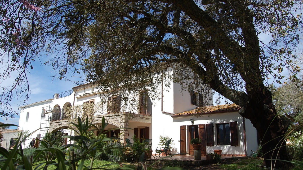 Photo of Outdoor in Luras