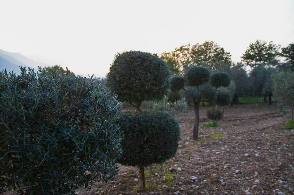 Photo of Others in Guardia Sanframondi
